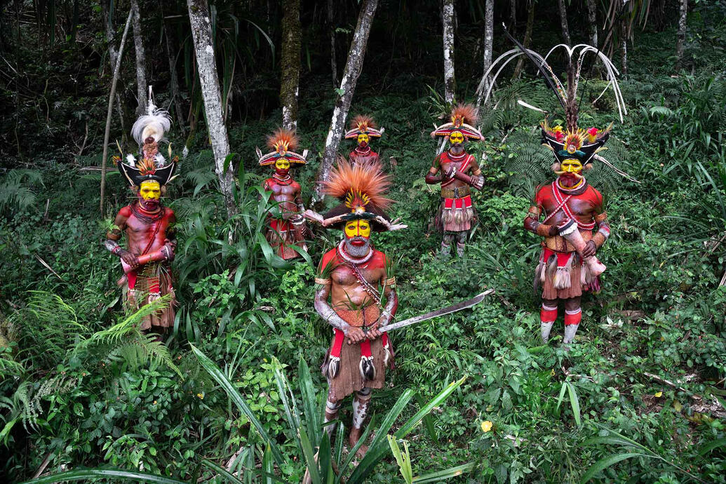 The Kings of the Forest In the highlands of Papua New Guinea, the Huli Wigmen transform forest materials into cultural symbols. Feathers, plant fibers, and natural pigments become part of their distinctive appearance. © Roberto Pazzi