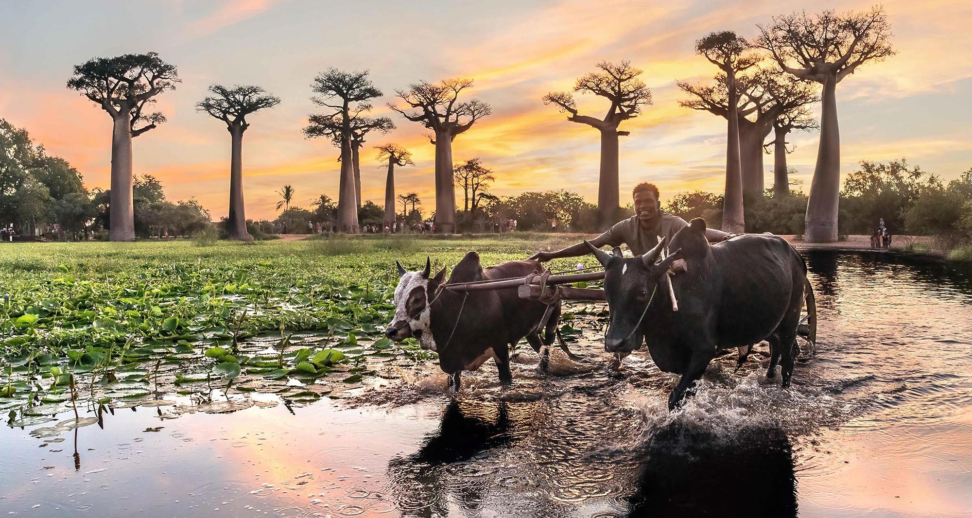 MADAGASCAR | May 1 - 14, 2027
