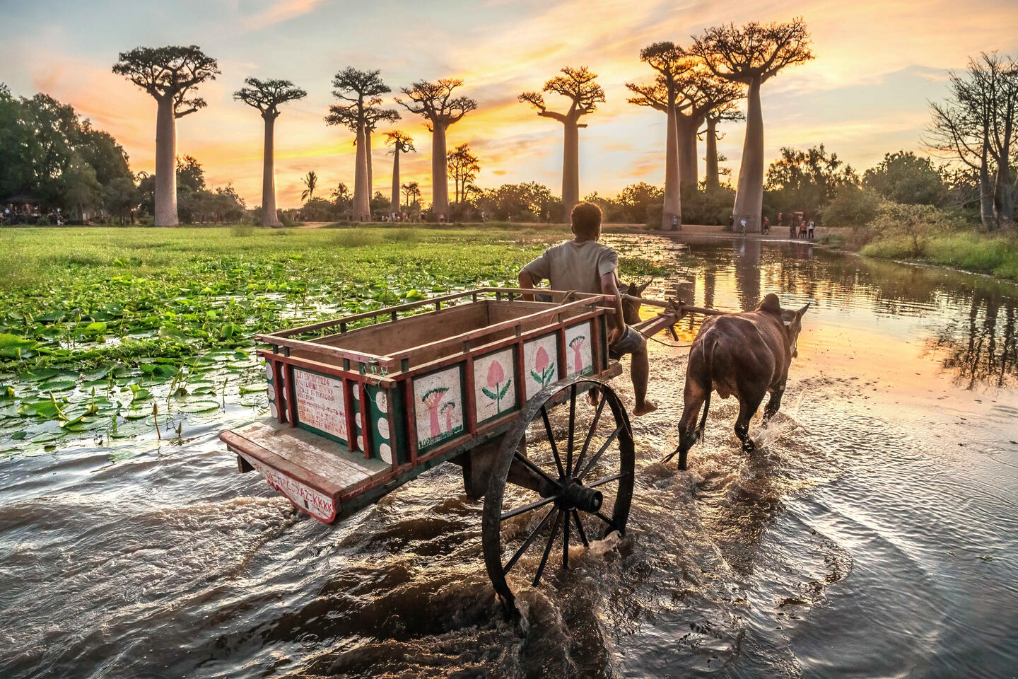 MADAGASCAR May 1 - 14, 2027