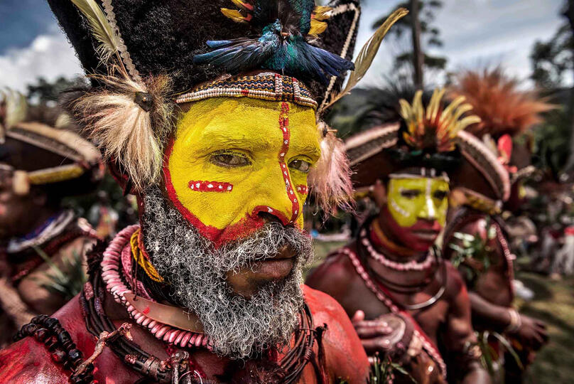 Huli Tribesman Portrait of a Huli Wigman Buy Print