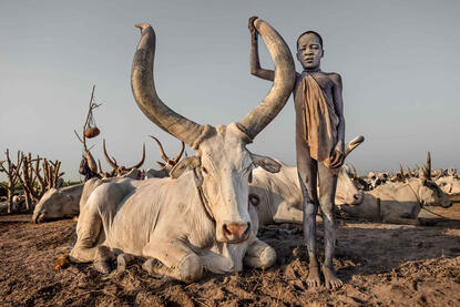 The Child and the Bull Portrait of a Mundari child © Roberto Pazzi