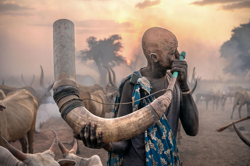 The End of the Day Mundari tribesman during the traditional call used in the evening to summon the cattle back to the resting area Buy Print