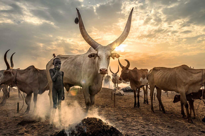 The Young Breeder Portrait of a Mundari child Buy Print