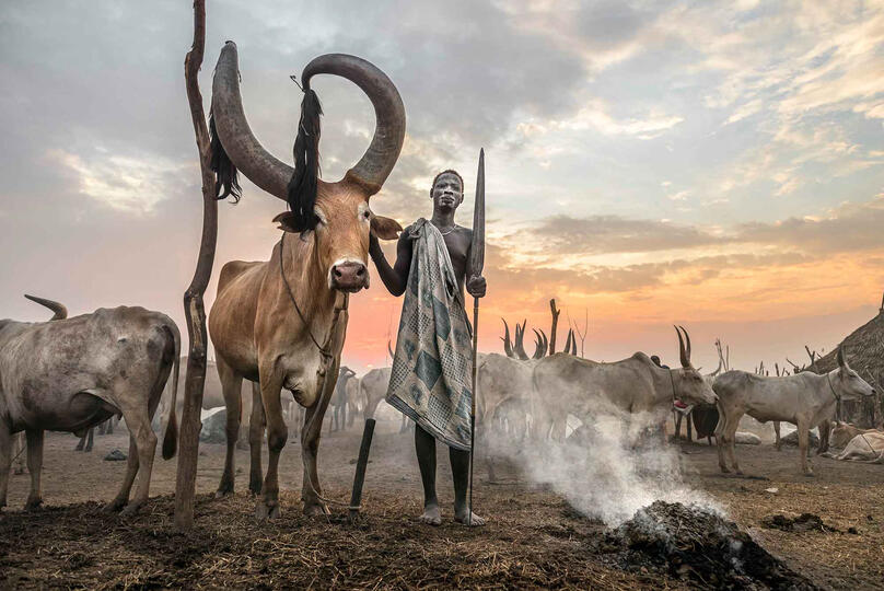 The King of the Cattle Portrait of a Mundari tribesman Buy Print