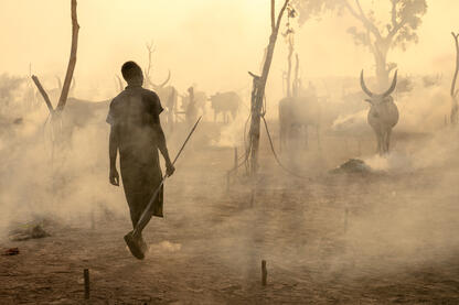 Smoke and Dust Mundari cattle camp at sunset © Roberto Pazzi