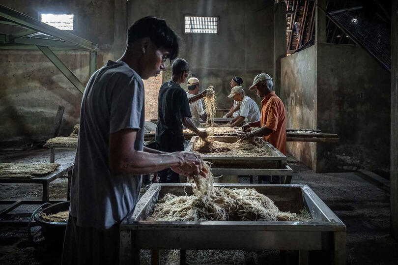 Threads of Life People at work in a noodle factory © Roberto Pazzi