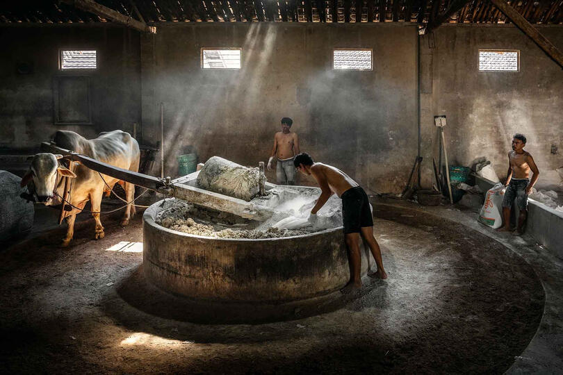 The Noodle Factory The work of the people in a noodle factory © Roberto Pazzi