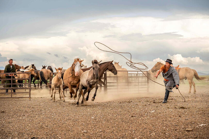 Wild Horse Breaking Horse tamers breaking wild horses Buy Print