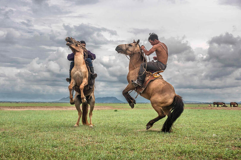 Wild Horse Tamers Wild horse tamers training the horses © Roberto Pazzi