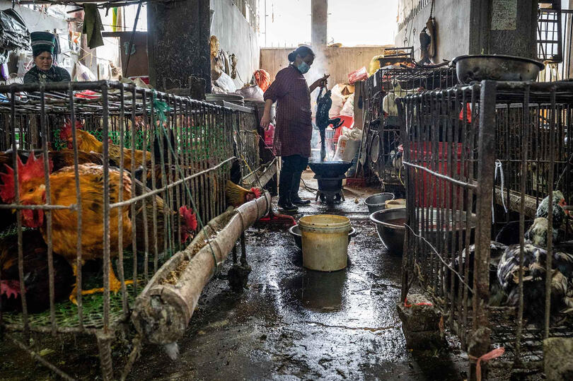 The Market Daily life scene in a market © Roberto Pazzi