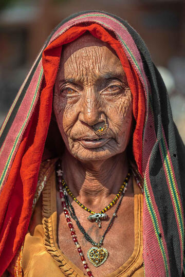 The Old Lady Portrait of an elderly woman Buy Print