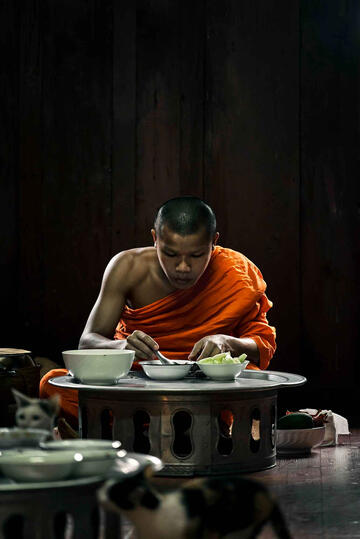 The Lunch Portrait of a young Buddhist monk Buy Print