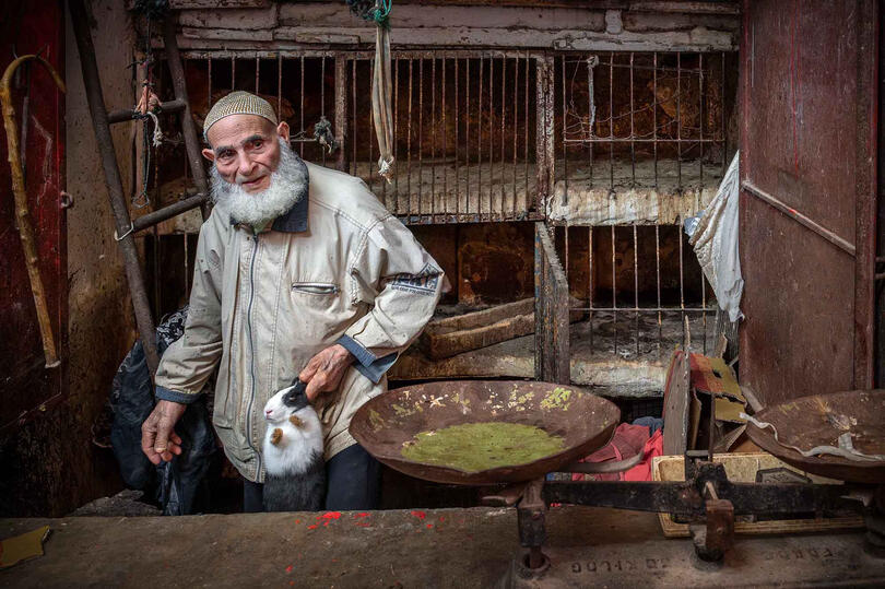 The Elderly Butcher Portrait of an elderly butcher in his old shop located in the ancient medina of the city © Roberto Pazzi